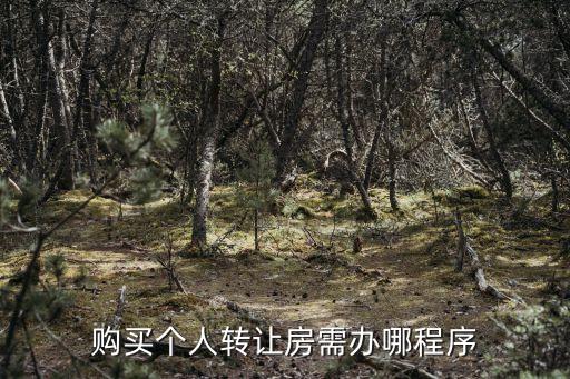 購買個人轉(zhuǎn)讓房需辦哪程序