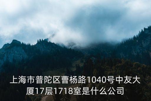上海市人工智能正高級工程師，上海市閔行區吳中路1075號12樓F座 E世紀科技電腦公司