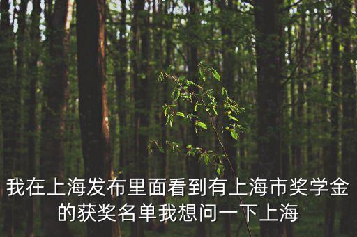 我在上海發布里面看到有上海市獎學金的獲獎名單我想問一下上海