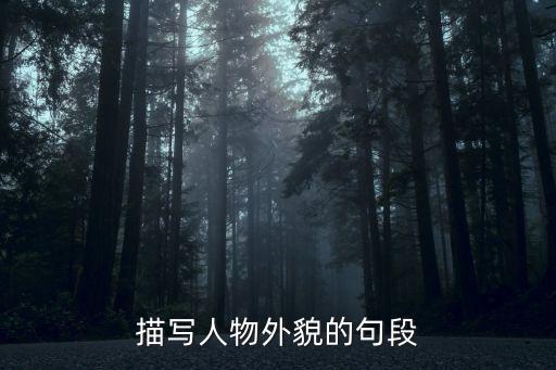 描寫人物外貌的句段