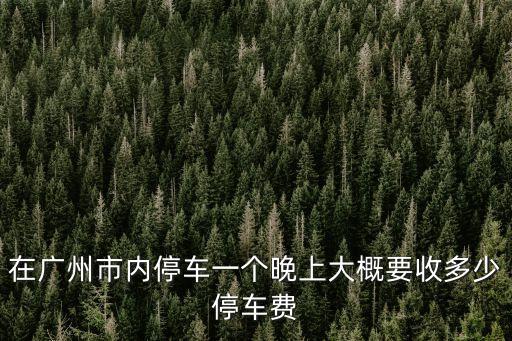 在廣州市內(nèi)停車一個晚上大概要收多少停車費(fèi)