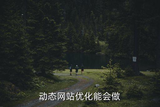 動態網站優化能會做