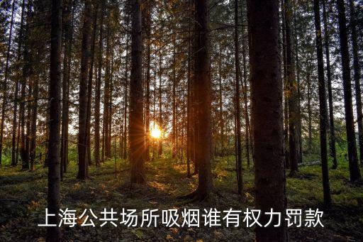 上海市吸煙條例處理，上海市公共場所控制吸煙條例正式實施是時間是多少