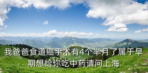 傅燕華上海市中醫醫院，上海市中醫醫院