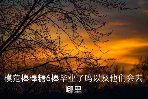 模范棒棒糖6棒畢業(yè)了嗎以及他們會去哪里