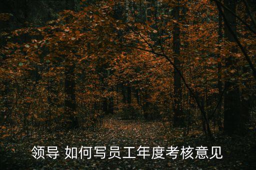 領導 如何寫員工年度考核意見