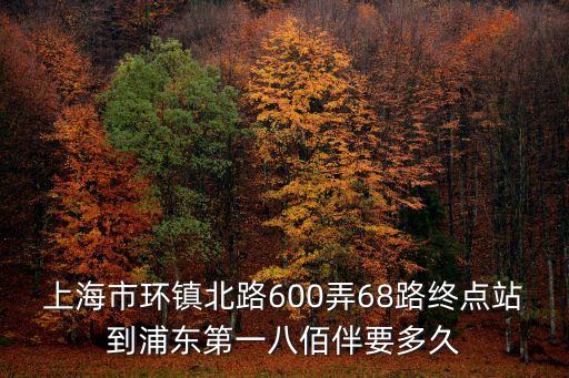 上海市環鎮北路600弄68路終點站到浦東第一八佰伴要多久