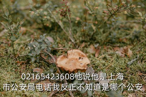 02165423608他說他是上海市公安局電話我反正不知道是哪個公安