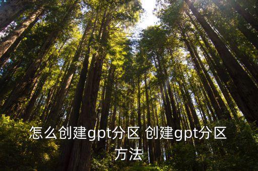 gpt磁盤，MBR與GPT磁盤區別