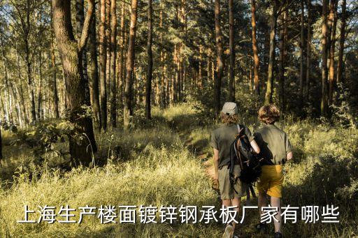 上海生產樓面鍍鋅鋼承板廠家有哪些