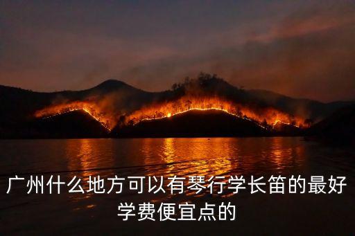 廣州少兒長笛機(jī)構(gòu)，請問廣州哪里有比較好的琴行可以學(xué)長笛的