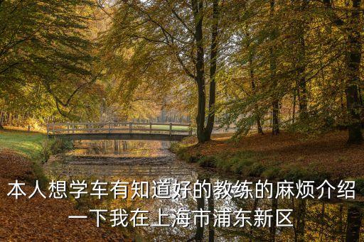 本人想學車有知道好的教練的麻煩介紹一下我在上海市浦東新區