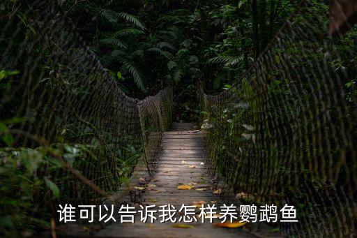 誰可以告訴我怎樣養鸚鵡魚