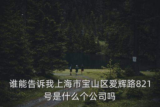 誰能告訴我上海市寶山區(qū)愛輝路821號是什么個公司嗎