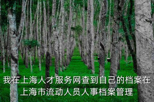 我在上海人才服務網查到自己的檔案在上海市流動人員人事檔案管理