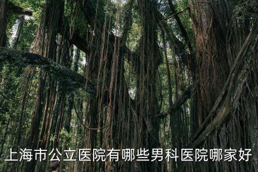 上海市吲達(dá)帕胺，我們tst的總部公司地址上海市閘北區(qū)恒豐路638號你好