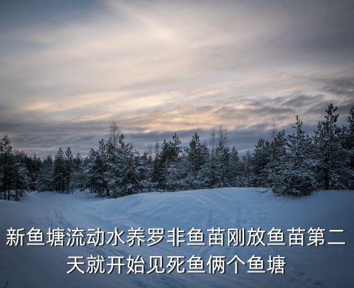 新魚塘流動水養(yǎng)羅非魚苗剛放魚苗第二天就開始見死魚倆個魚塘