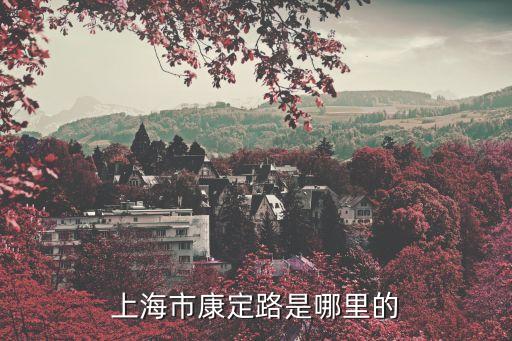 上海市康定路808是什么地方，上海市康定路是哪里的