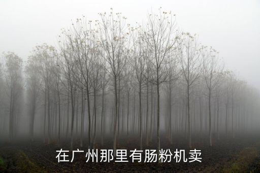 在廣州那里有腸粉機賣