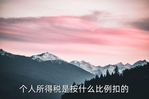 個人所得稅是按什么比例扣的