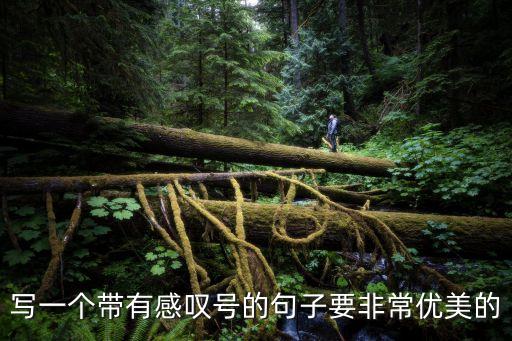 寫一個帶有感嘆號的句子要非常優美的