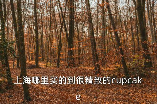 上海哪里買的到很精致的cupcake