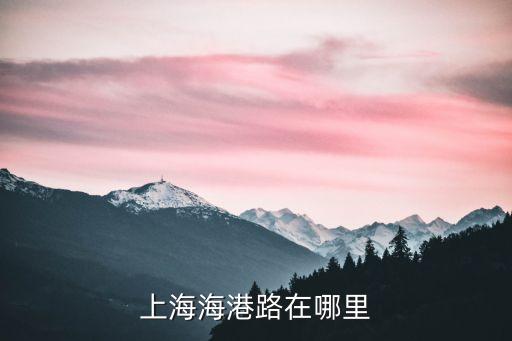 上海市海港區在哪里，上海海港路在哪里