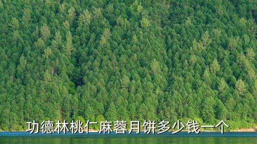上海市功德林月餅禮盒價格，上海功德林的月餅多少錢一盒