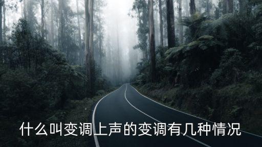 上聲的變調(diào)，說說普通話中上聲的變調(diào)規(guī)律是什么