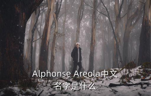 Alphonse Areola中文名字是什么