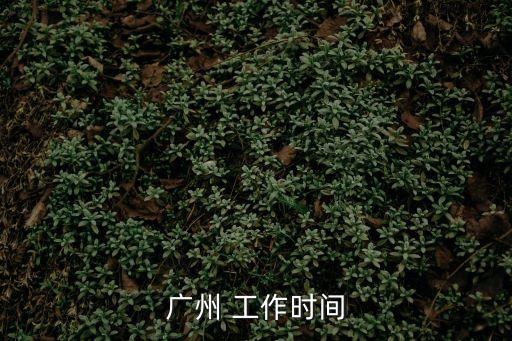 廣州 工作時(shí)間