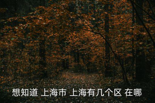 上海市有金浦區(qū)么，上海市都有哪些轄區(qū)