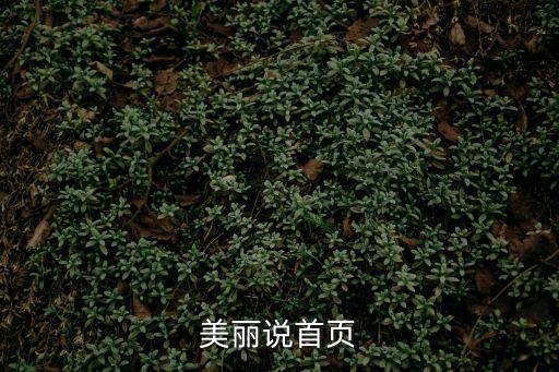 美麗說，美麗說首頁