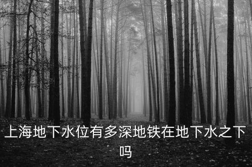 上海市水位高，上海地下水位有多深地鐵在地下水之下嗎