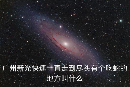 廣州新光快速一直走到盡頭有個吃蛇的地方叫什么