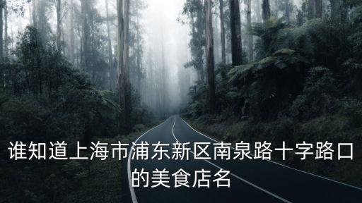 誰知道上海市浦東新區(qū)南泉路十字路口的美食店名