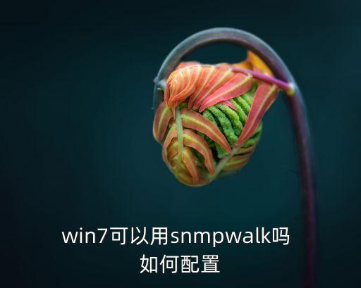 win7可以用snmpwalk嗎 如何配置