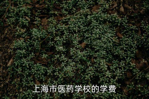上海市醫(yī)藥學(xué)校的學(xué)費(fèi)