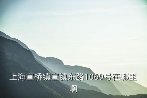 上海市港航管理事務所，上海宣橋鎮宣鎮東路1069號在哪里啊