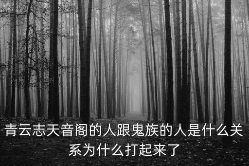 天音閣，青云志天音閣是什么派的
