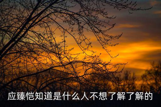 上海市多媒體協會秘書長，李濟生的介紹