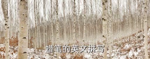 蠟筆的英文拼寫