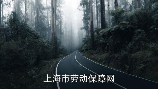 上海市星海公園社區志愿者，上海地區問路