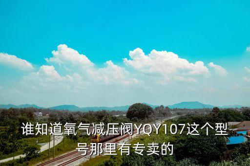 上海市海灣氣體設(shè)備有限公司，誰知道氧氣減壓閥YQY107這個型號那里有專賣的