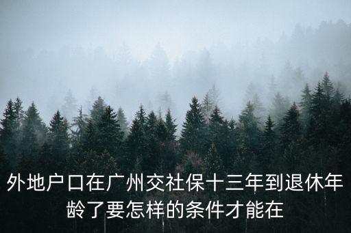 外地戶口在廣州交社保十三年到退休年齡了要怎樣的條件才能在