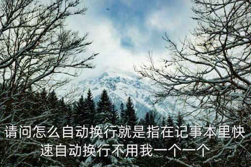 請問怎么自動換行就是指在記事本里快速自動換行不用我一個一個