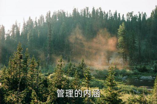 管理的含義，管理的內涵
