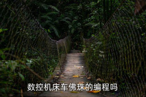 數控機床車佛珠的編程嗎