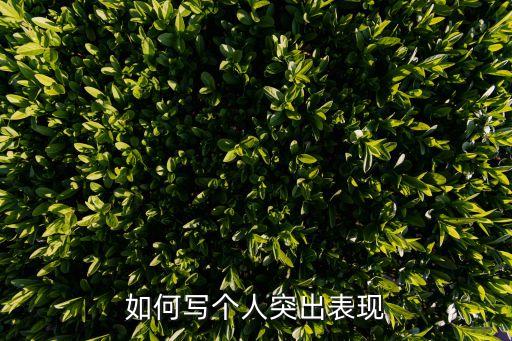 如何寫(xiě)個(gè)人突出表現(xiàn)