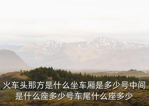 火車頭圖片，汽車儀表上為什么打燃火后上面都還是顯示個火車頭圖片不消失